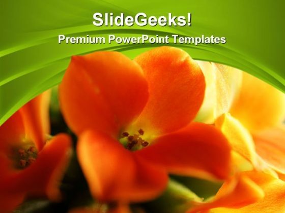 red_and_yellow_flower_beauty_powerpoint_templates_and_backgrounds_0311_title.jpg
