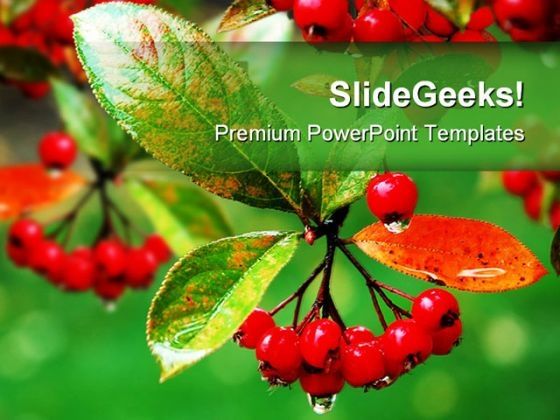 red_berries_food_powerpoint_backgrounds_and_templates_1210_title.jpg