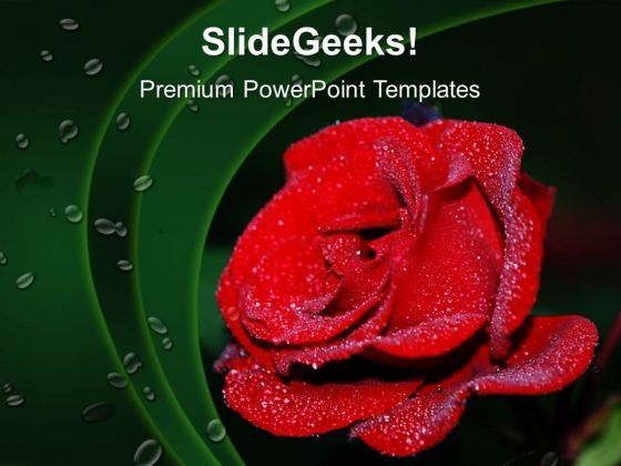 red_rose_beauty_powerpoint_templates_and_powerpoint_themes_0512_title.jpg