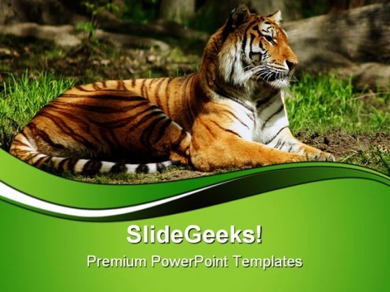 siberian_tiger_animals_powerpoint_templates_and_powerpoint_backgrounds_0611_title.jpg