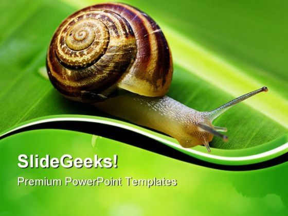 snail_on_leaf_animals_powerpoint_templates_and_powerpoint_backgrounds_0611_title.jpg