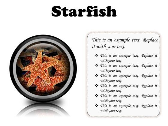 starfish_animals_powerpoint_presentation_slides_cc_1.jpg