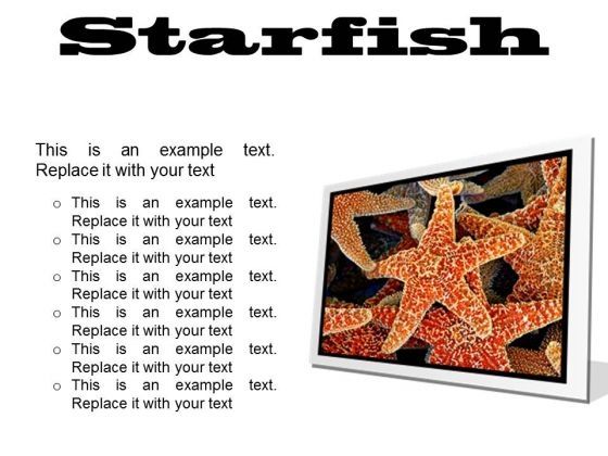 starfish_animals_powerpoint_presentation_slides_f_1.jpg