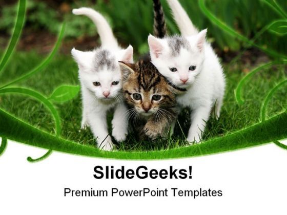 staying_close_together_animals_powerpoint_templates_and_powerpoint_backgrounds_0211_title.jpg