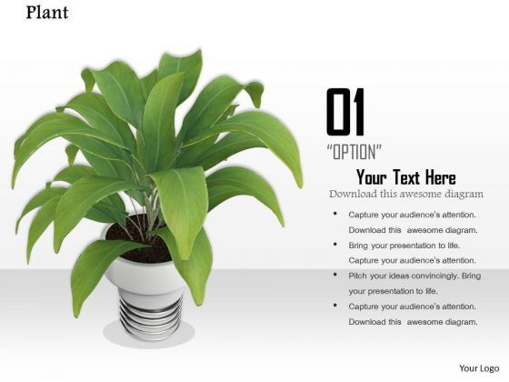 stock_photo_illustration_of_indoor_plant_powerpoint_slide_1.jpg