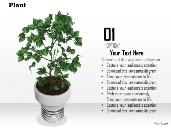 stock_photo_image_of_indoor_plant_powerpoint_slide_1.jpg