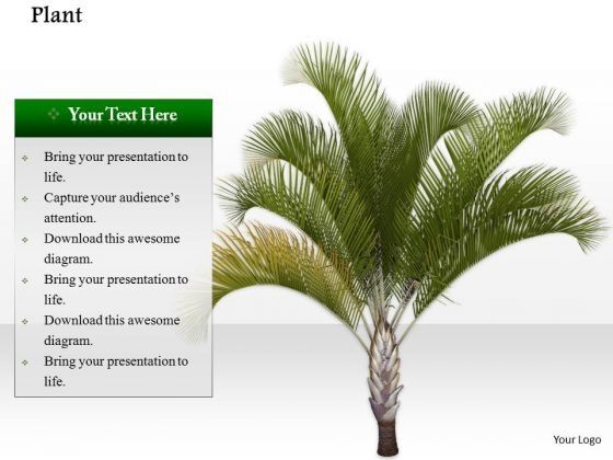 stock_photo_image_of_palm_tree_on_beach_powerpoint_slide_1.jpg