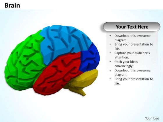 stock_photo_multicolored_brain_powerpoint_slide_1.jpg