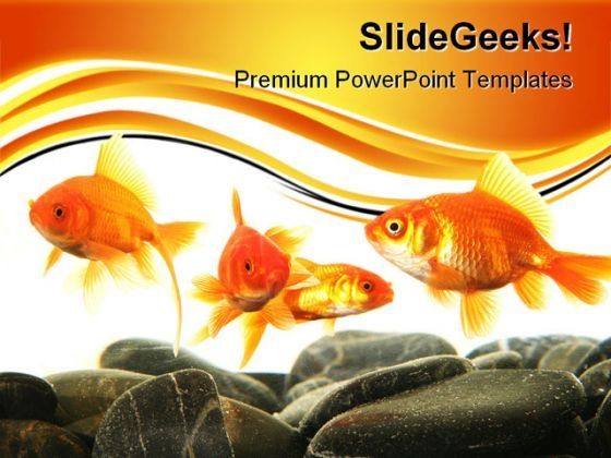 stonefish_in_aquarium_animals_powerpoint_themes_and_powerpoint_slides_0411_title.jpg