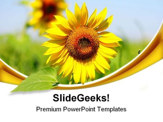 sunflower_beauty_powerpoint_themes_and_powerpoint_slides_0511_title.jpg