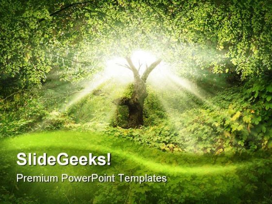sunlight_in_forest_nature_powerpoint_template_0910_title.jpg