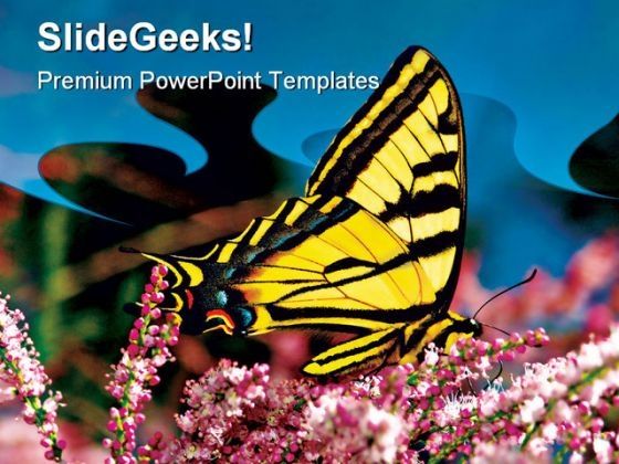 swallowtail_butterfly_nature_powerpoint_templates_and_powerpoint_backgrounds_0511_title.jpg