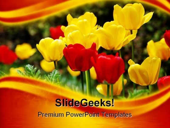 tulips_flowers_nature_powerpoint_template_1110_title.jpg