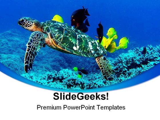 turtle_animal_powerpoint_template_0910_title.jpg