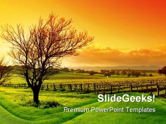 vineyard_nature_powerpoint_background_and_template_1210_title.jpg