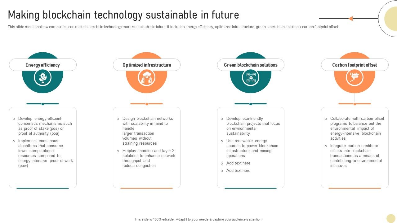 Visionary Guide To Blockchain Making Blockchain Technology Sustainable In Future BCT SS V