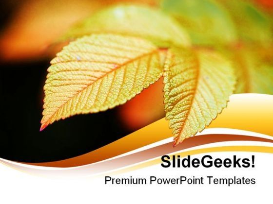 vivid_leaf_nature_powerpoint_backgrounds_and_templates_1210_title.jpg