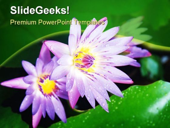 water_lilies_beauty_powerpoint_templates_and_powerpoint_backgrounds_0211_title.jpg