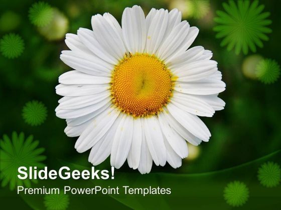 white_daisy_flower_with_green_background_powerpoint_templates_ppt_backgrounds_for_slides_0613_title.jpg