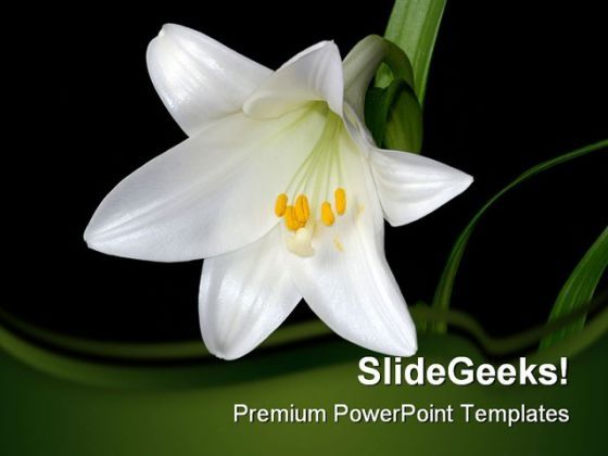 white_lily_beauty_powerpoint_template_0810_title.jpg