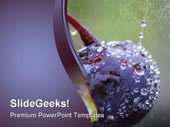 wild_blueberry_food_powerpoint_templates_and_powerpoint_backgrounds_0211_title.jpg