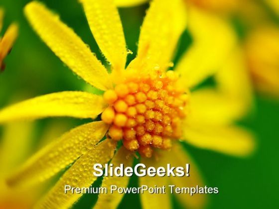 yellow_flower_beauty_powerpoint_templates_and_powerpoint_backgrounds_0211_title.jpg