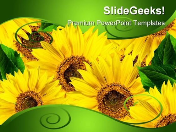 yellow_flowers_beauty_powerpoint_background_and_template_1210_title.jpg