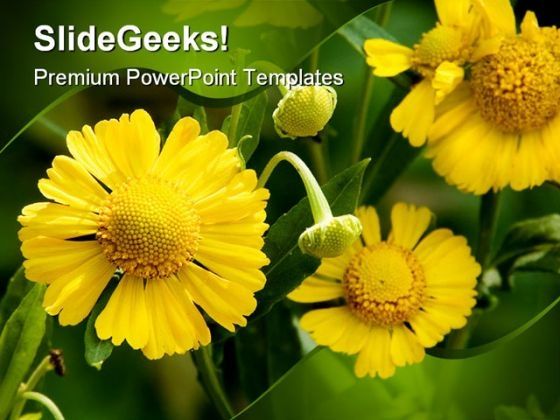yellow_flowers_beauty_powerpoint_templates_and_powerpoint_backgrounds_0211_title.jpg