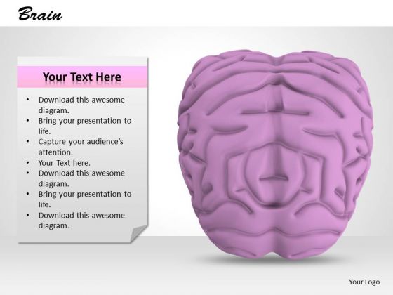 0814 Stock Photo 3d Model Of Human Brain PowerPoint Slide