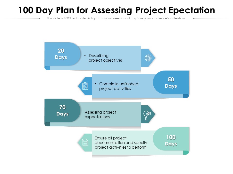 100 Day Plan For Assessing Project Epectation Ppt PowerPoint Presentation File Background PDF