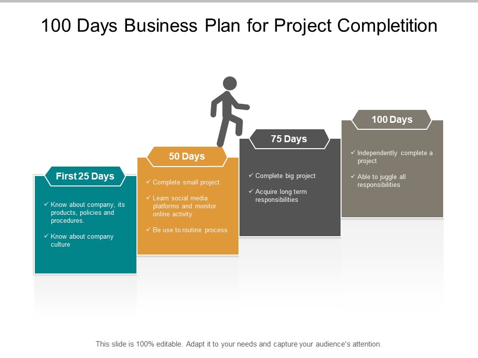 100 Days Business Plan For Project Completition Ppt PowerPoint Presentation Visual Aids Portfolio