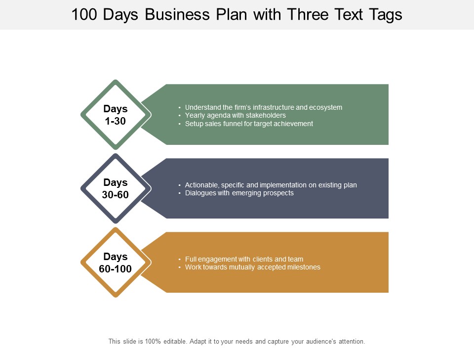 100 Days Business Plan With Three Text Tags Ppt PowerPoint Presentation Gallery Vector