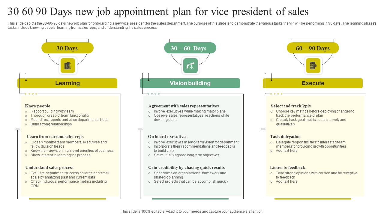 30 60 90 Days New Job Appointment Plan For Vice President Of Sales Topics PDF