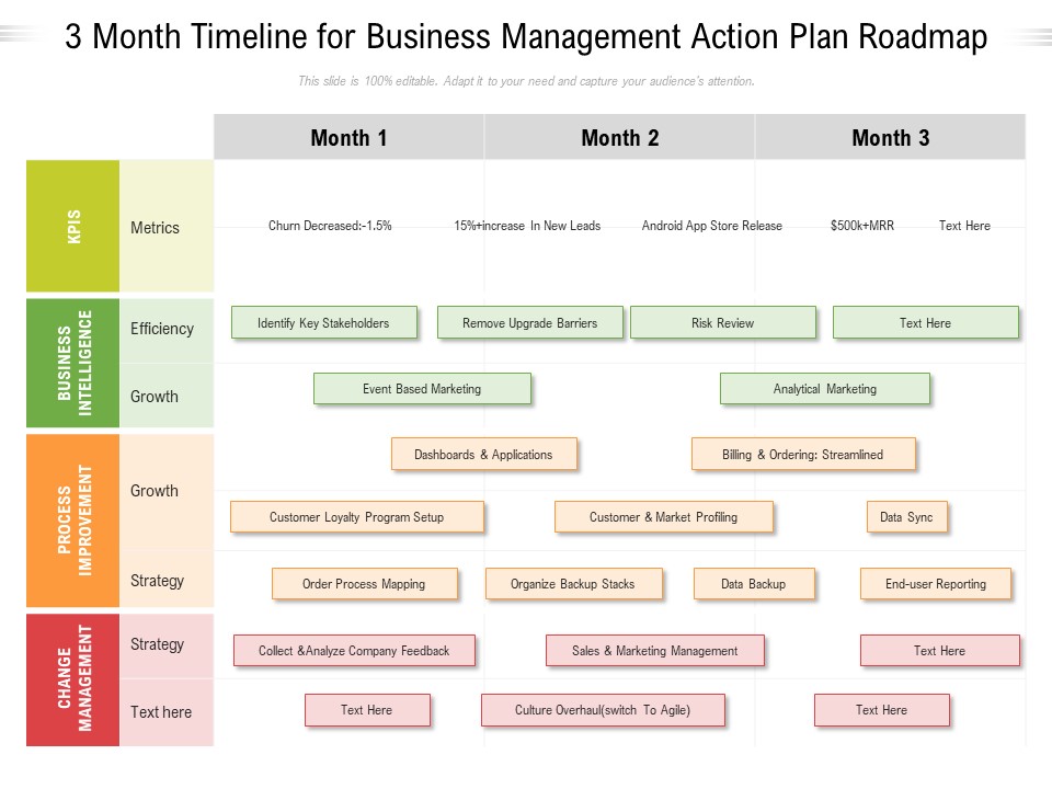 3 Month Timeline For Business Management Action Plan Roadmap Pictures
