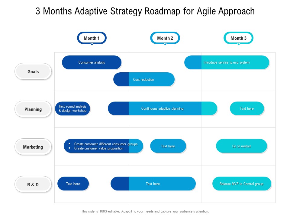 3 Months Adaptive Strategy Roadmap For Agile Approach Information