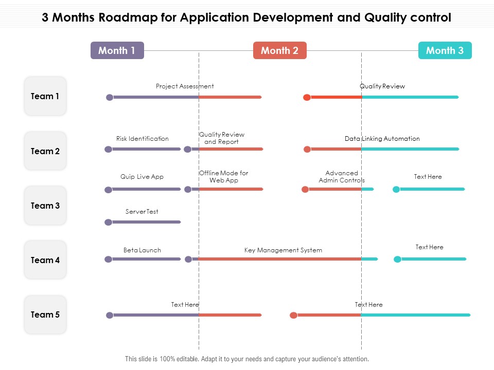 3 Months Roadmap For Application Development And Quality Control Information
