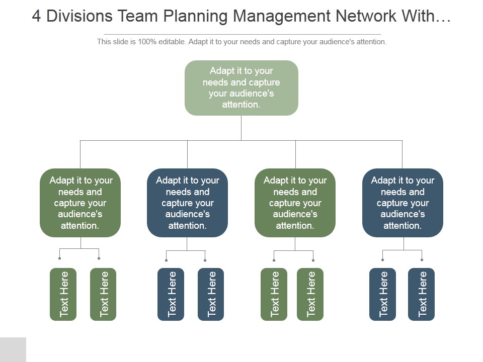 4 Divisions Team Planning Management Network With Functions Ppt PowerPoint Presentation Picture