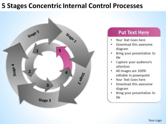 5 Stages Concentric Internal Control Processes Business Executive PowerPoint Slides