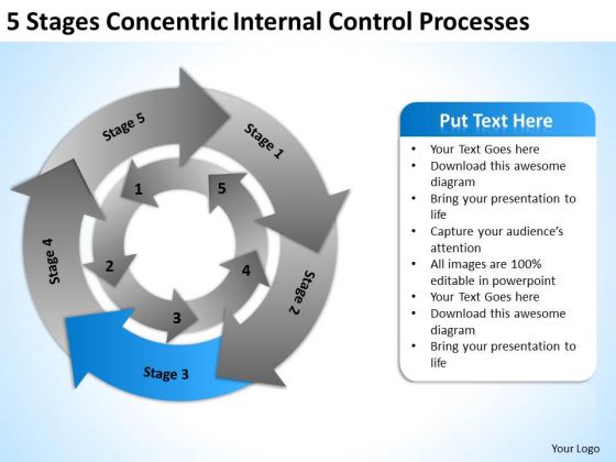 5 Stages Concentric Internal Control Processes Business Plan PowerPoint Templates