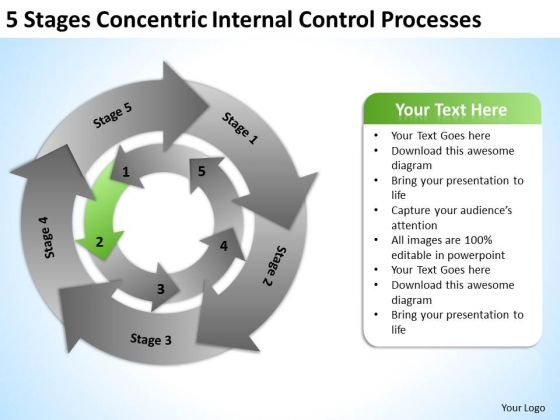 5 Stages Concentric Internal Control Processes Business Plan Sample PowerPoint Slides