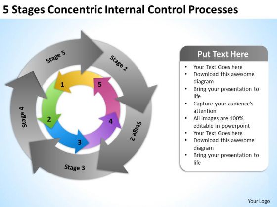 5 Stages Concentric Internal Control Processes Ppt Business Plan PowerPoint Templates