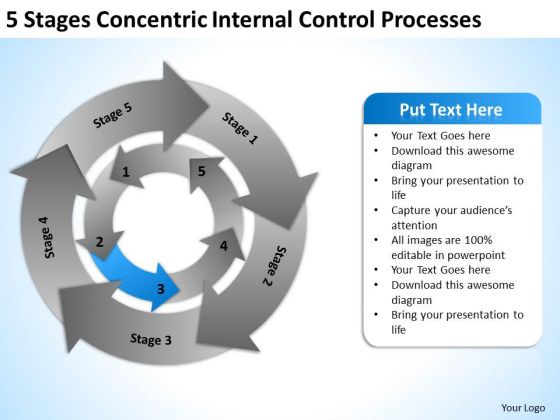 5 Stages Concentric Internal Control Processes Realtor Business Plan PowerPoint Templates