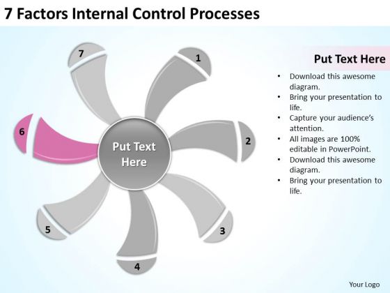 7 Factors Internal Control Processes Business Plan Writers PowerPoint Slides