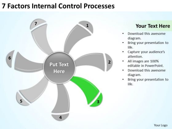 7 Factors Internal Control Processes Ppt Business Plan Formats PowerPoint Templates