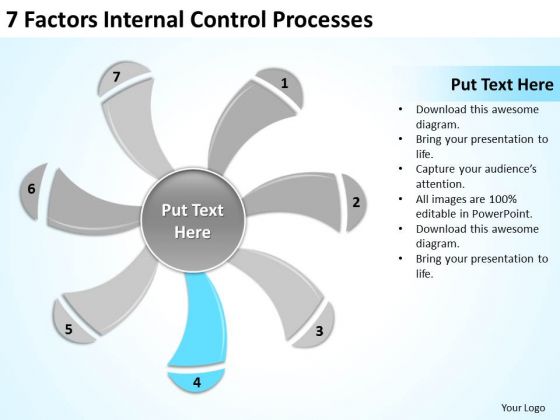 7 Factors Internal Control Processes Ppt Business Plan Tools PowerPoint Templates