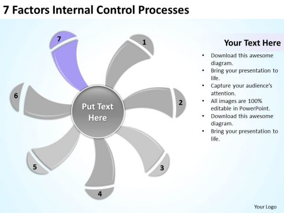 7 Factors Internal Control Processes Ppt Personal Business Plan PowerPoint Templates