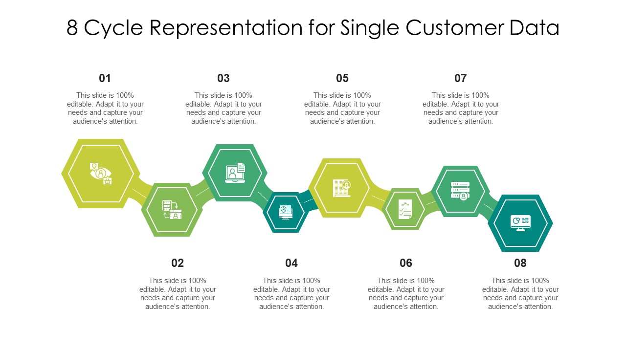8 Cycle Representation For Single Customer Data Ppt PowerPoint Presentation File Slides PDF