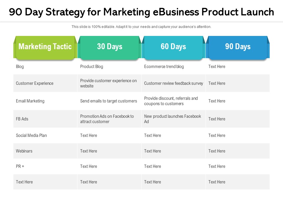 90 Day Strategy For Marketing Ebusiness Product Launch Ppt PowerPoint Presentation File Background Designs PDF