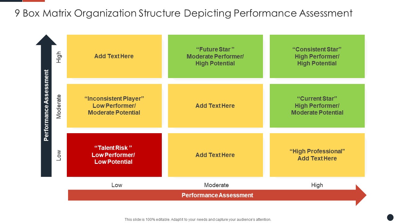 9 Box Matrix Organization Structure Depicting Performance Assessment Pictures PDF