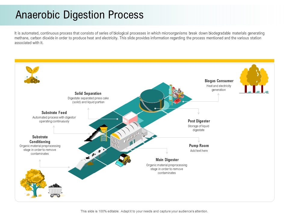 A Step Towards Environmental Preservation Anaerobic Digestion Process Template PDF